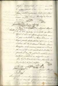 CM 1849. 392.jpg